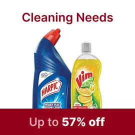 Cleaning Essentials