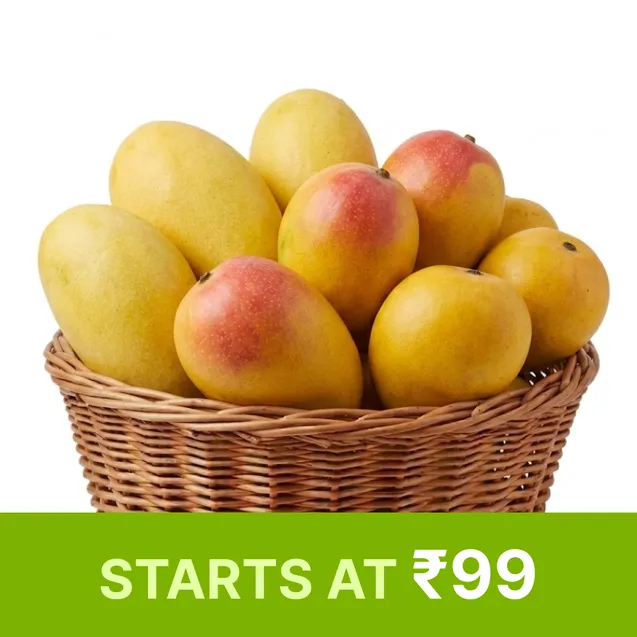 Mango Fiesta 