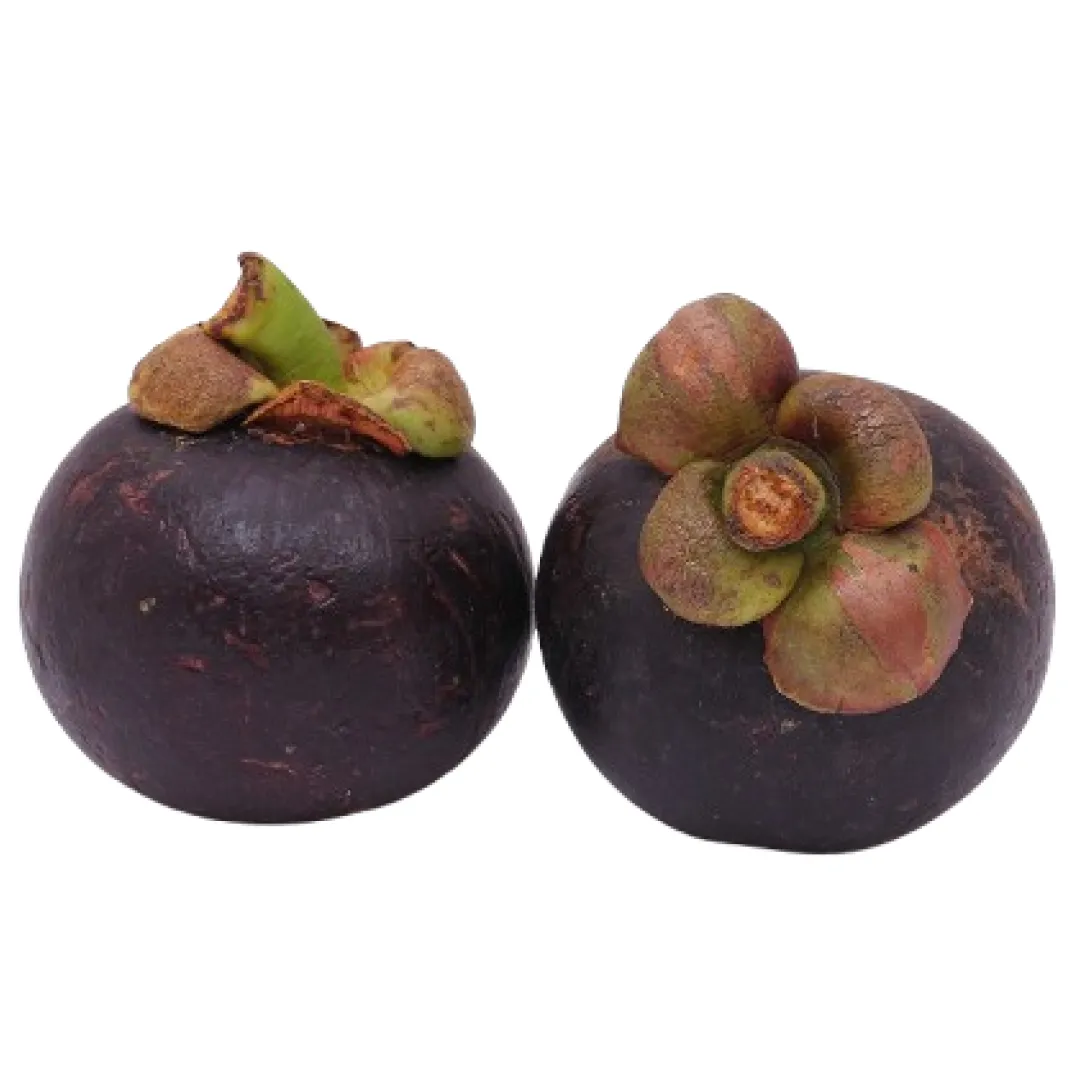 Mangosteen