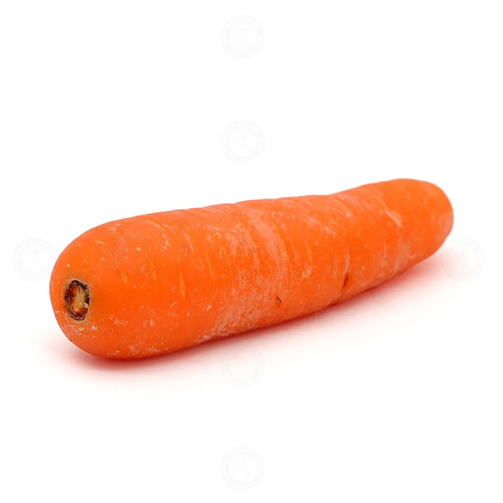 Carrot Ooty 1