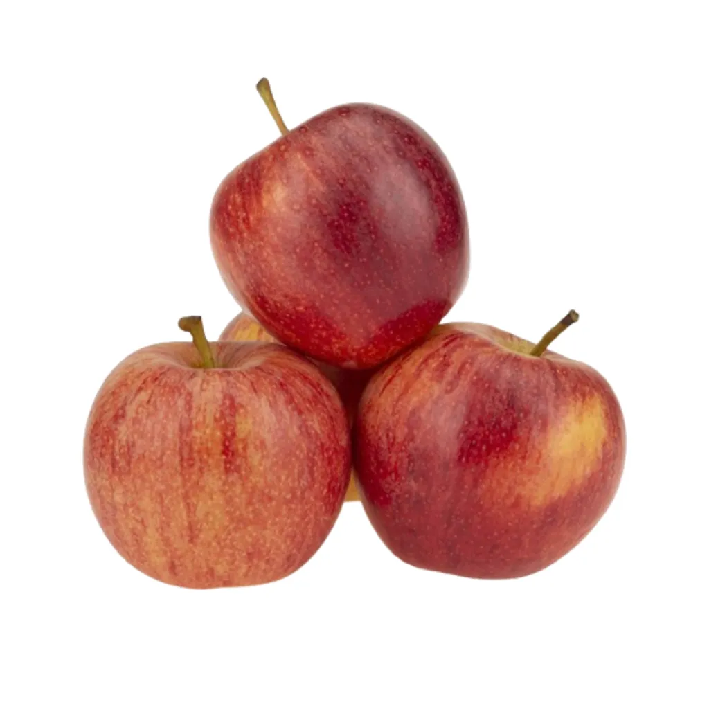 Apple Royal Gala Economy - Pack of 4