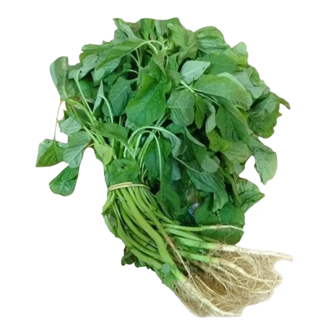 Green Amaranth