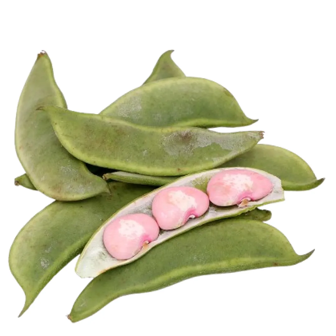 Fresh Double Beans