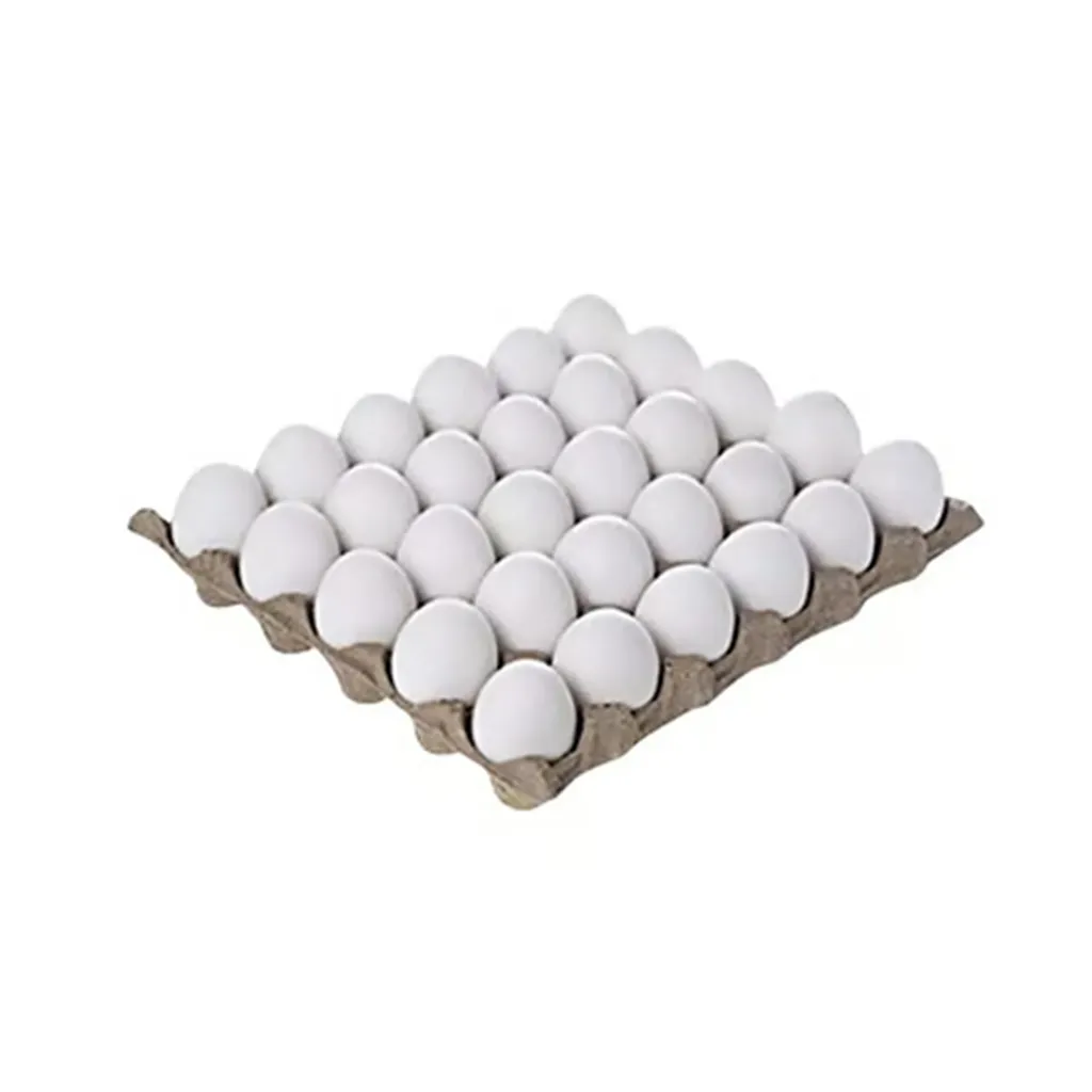 Vijay White Eggs