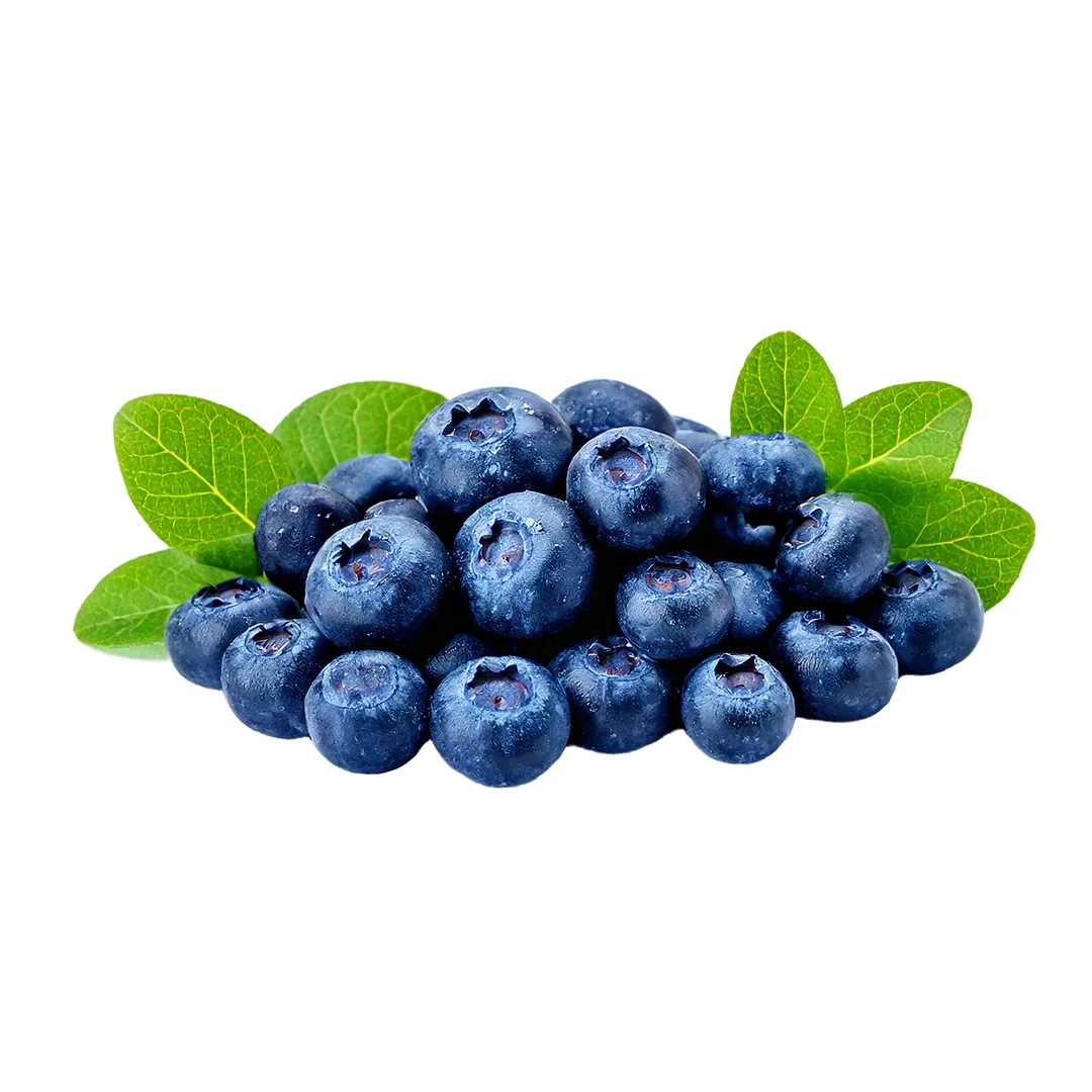 Fresh Blueberry