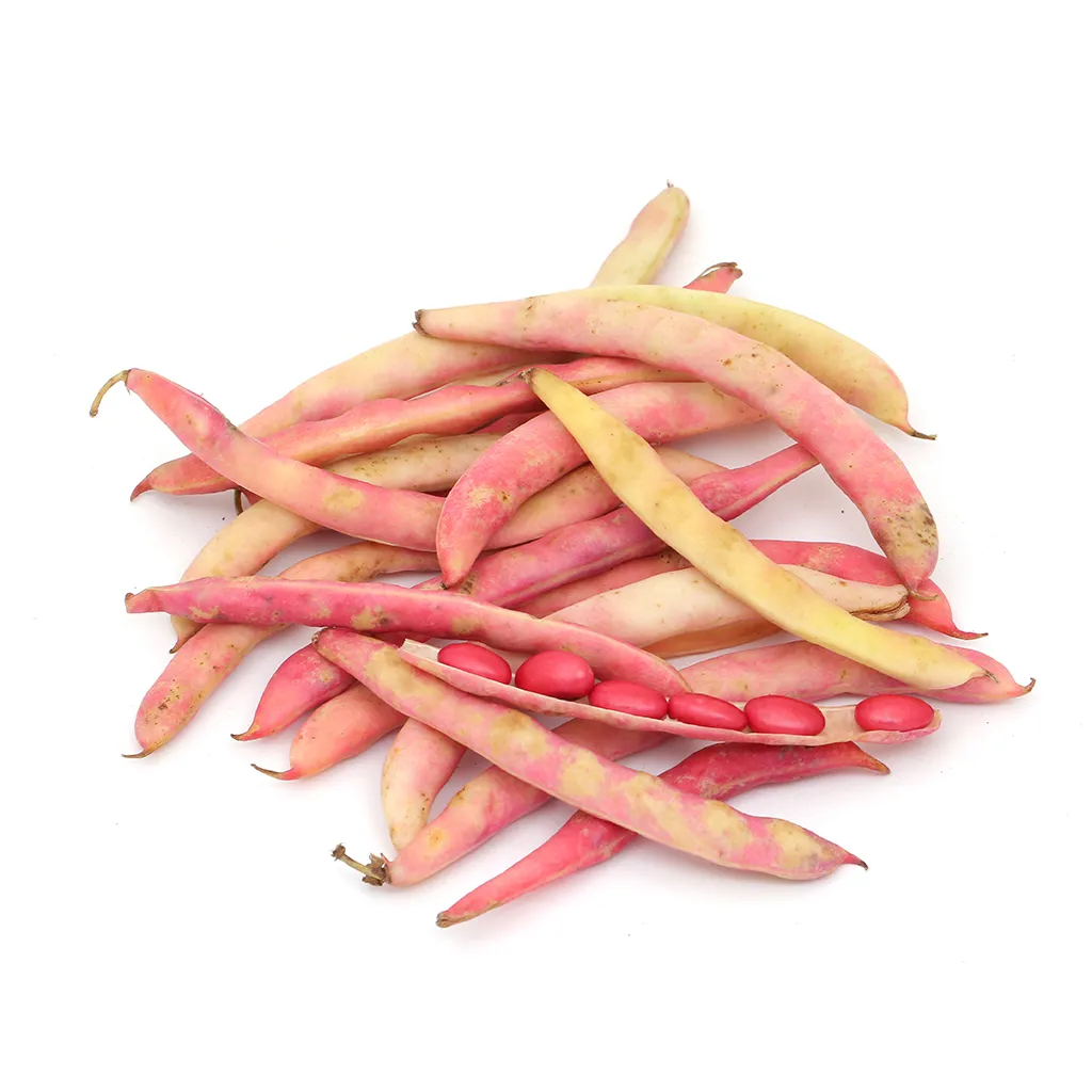 Soya Beans 1