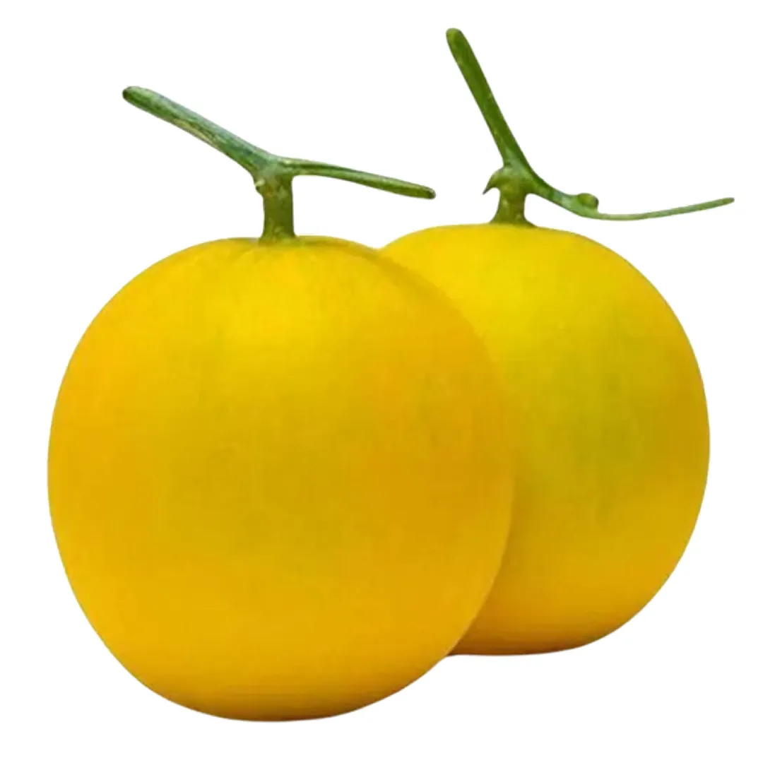 Round Yellow Cucumber