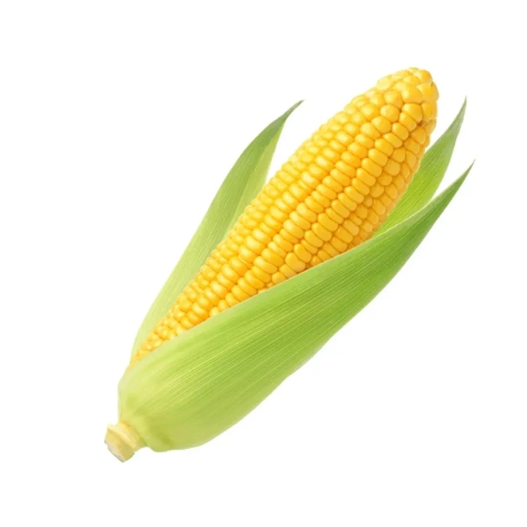 Sweet Corn