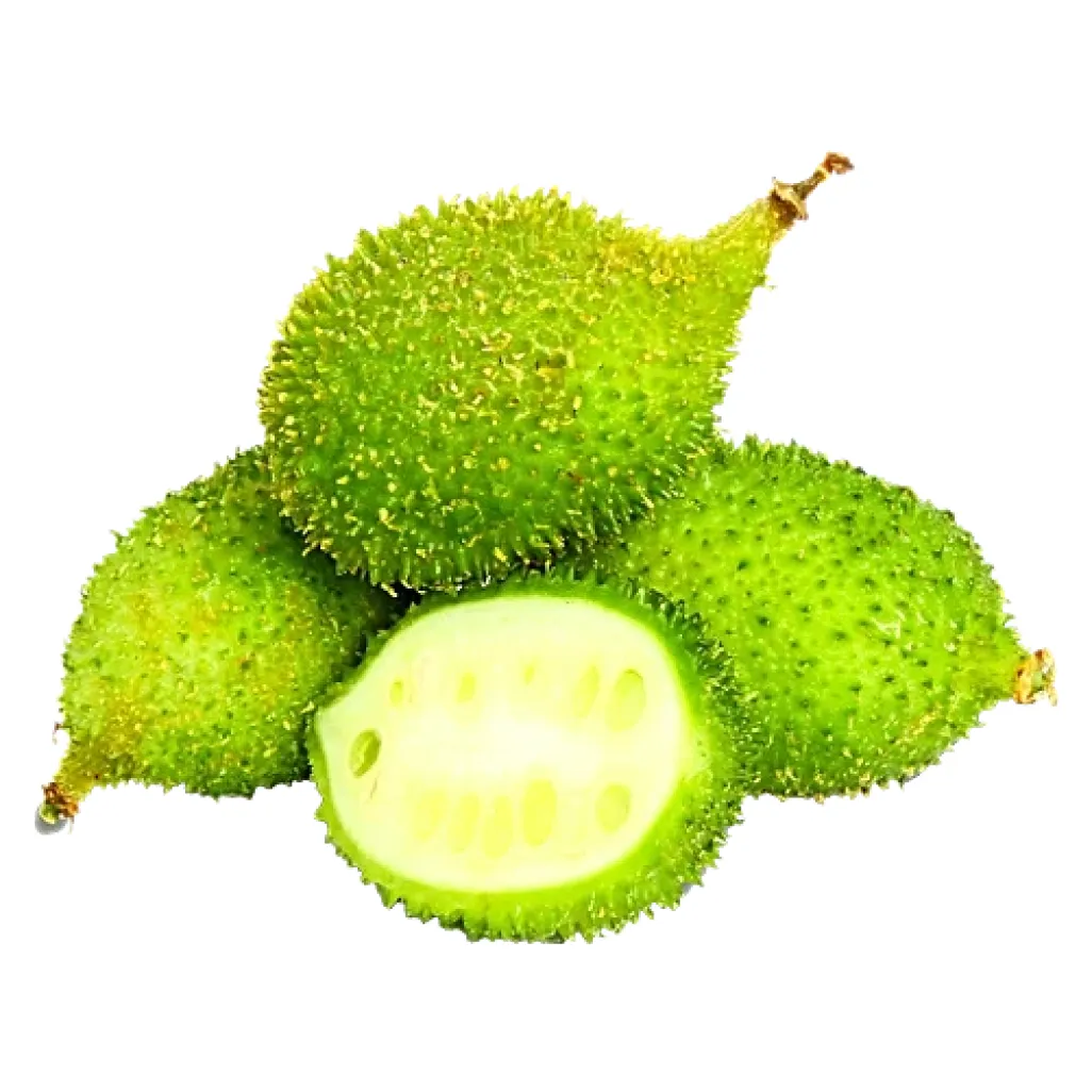 Spine Gourd (Kantola)