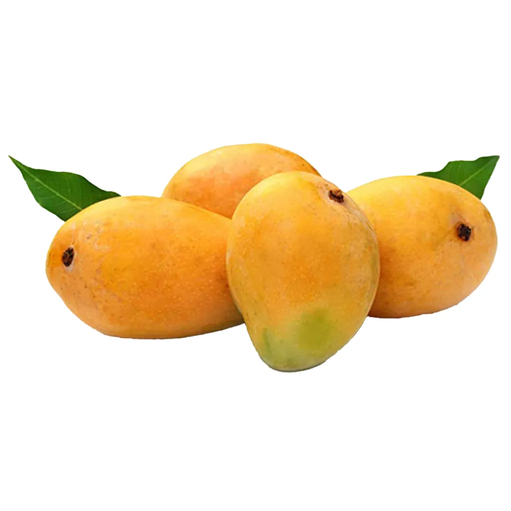 Alphonso Mango