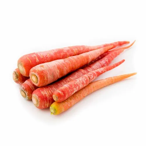 Carrot Delhi
