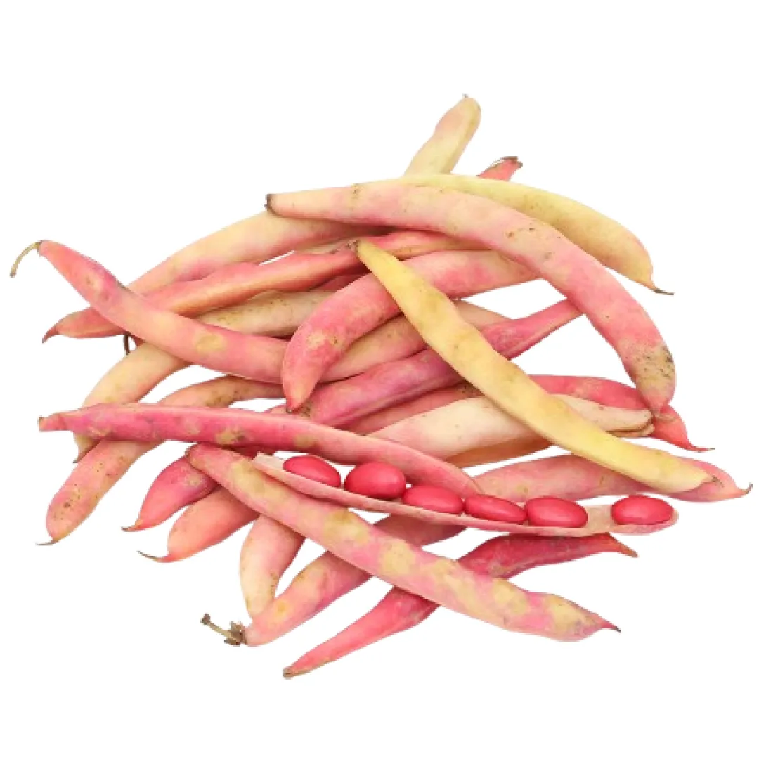 Soya Beans
