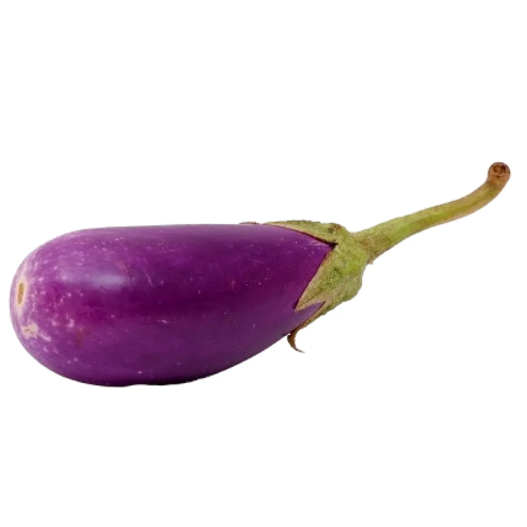 Brinjal Ujala