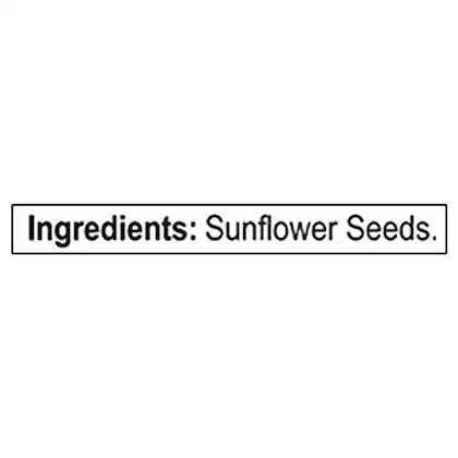 Nutraj Classic Sunflower Seeds 3
