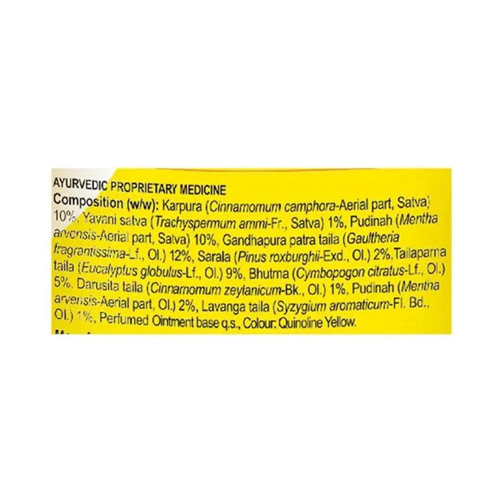 Amrutanjan Pain Balm Extra Power 2