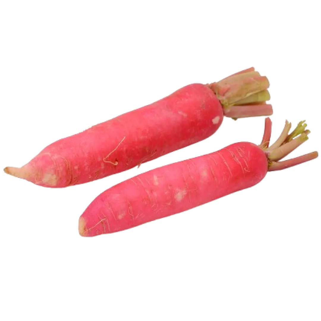 Raddish Red (Sivappu Mulangi)