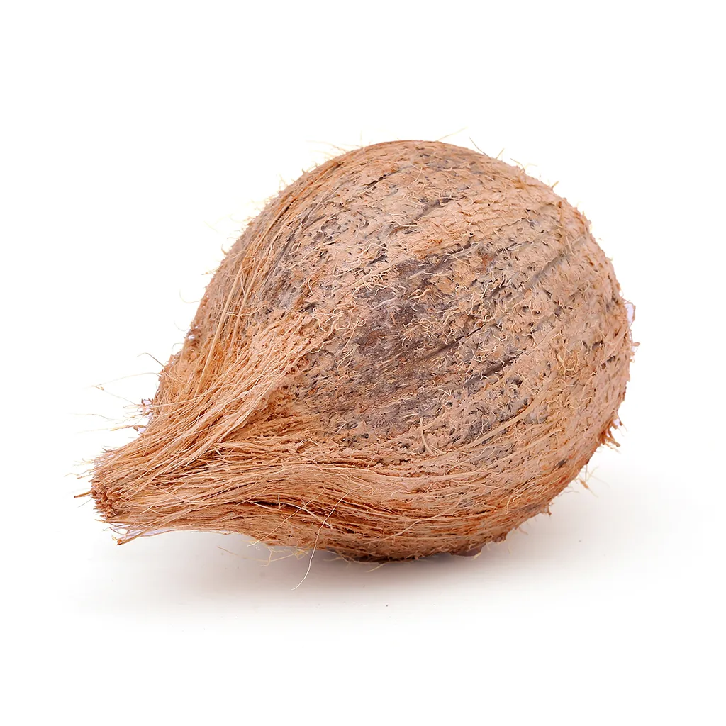 Fresh Coconut (Thengai) 1