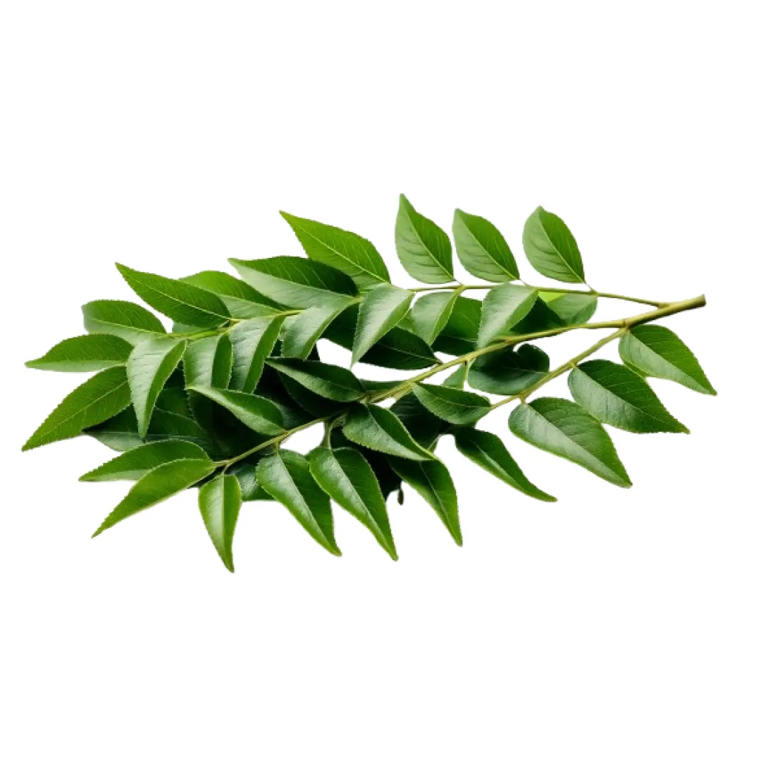 Curry leaves