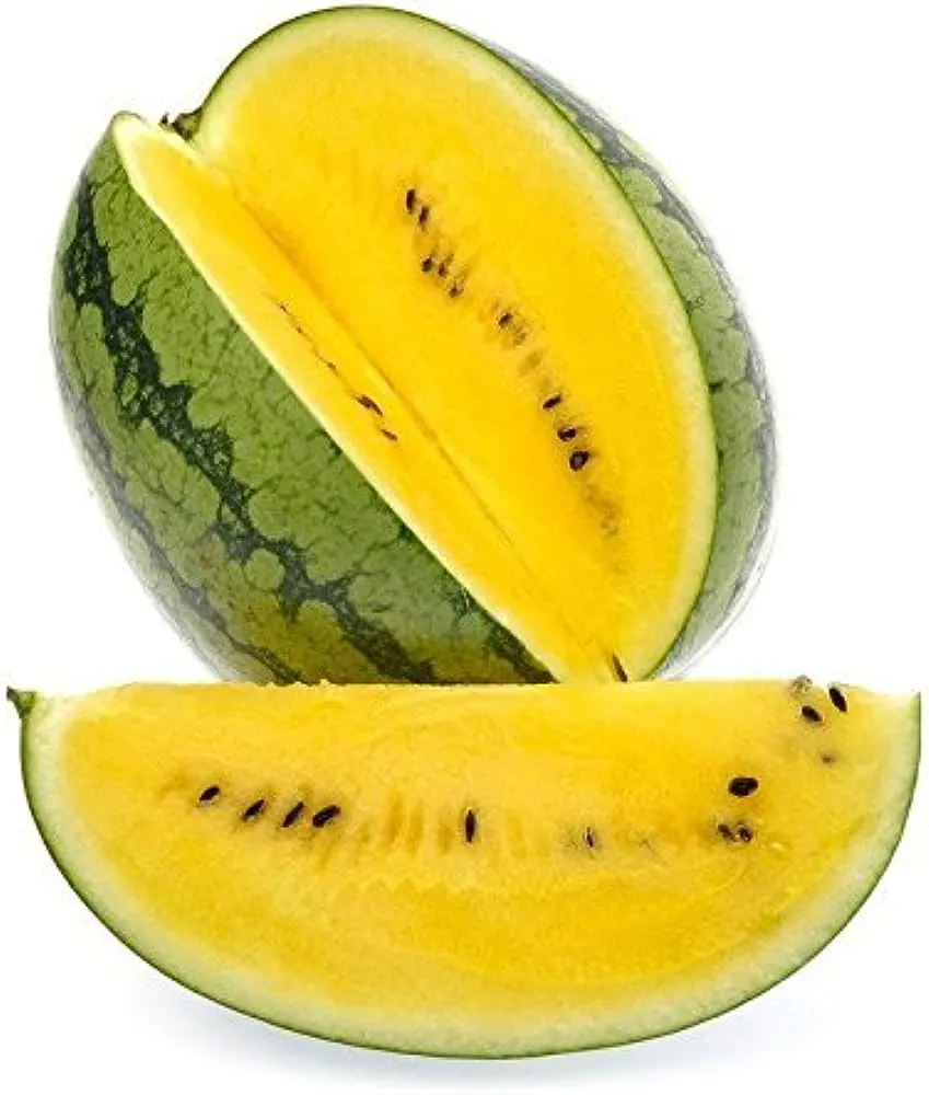 Yellow Watermelon (Manjal Vellari) 1
