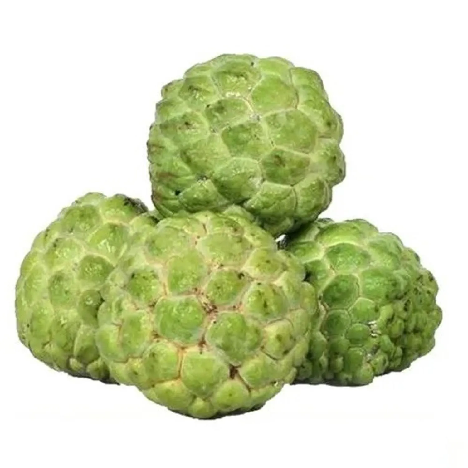 Custard Apple (Seetha Pazham)
