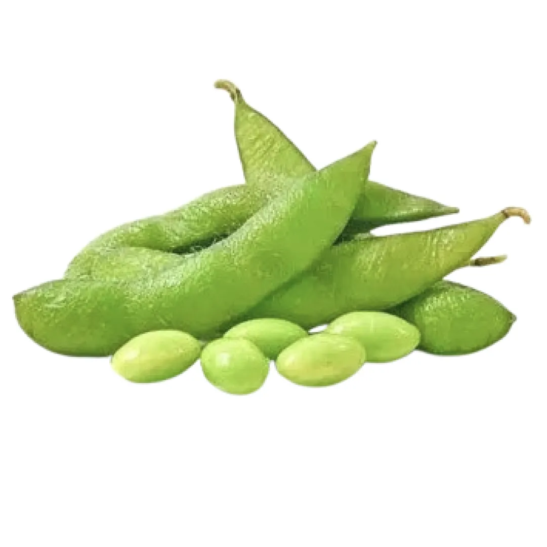 Fresh Mochai