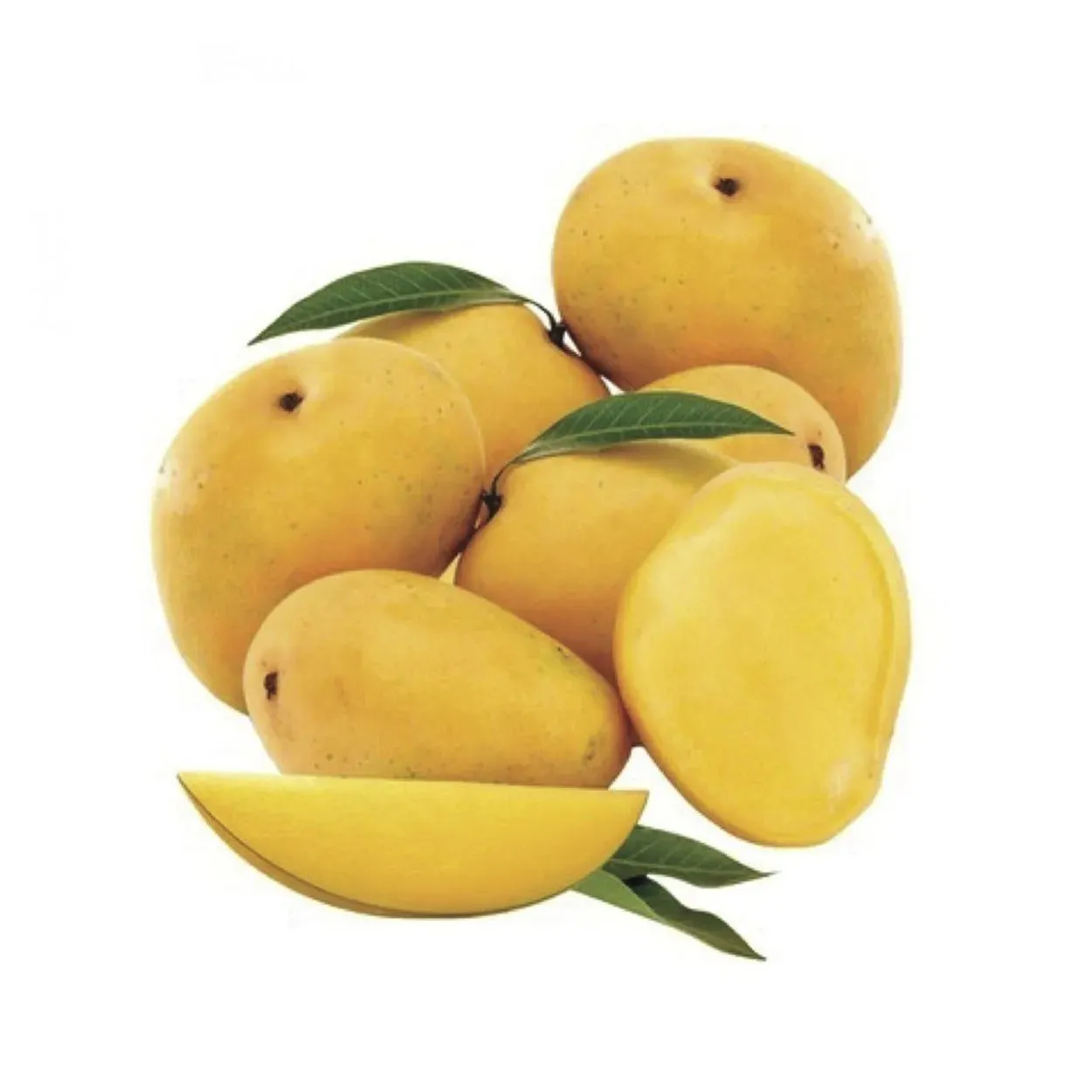 Ratnagiri Alphonso Mango