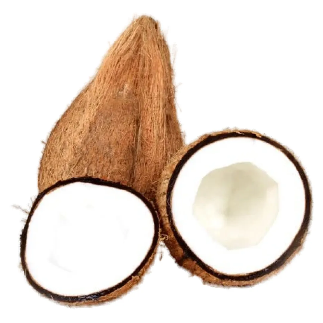 Fresh Coconut