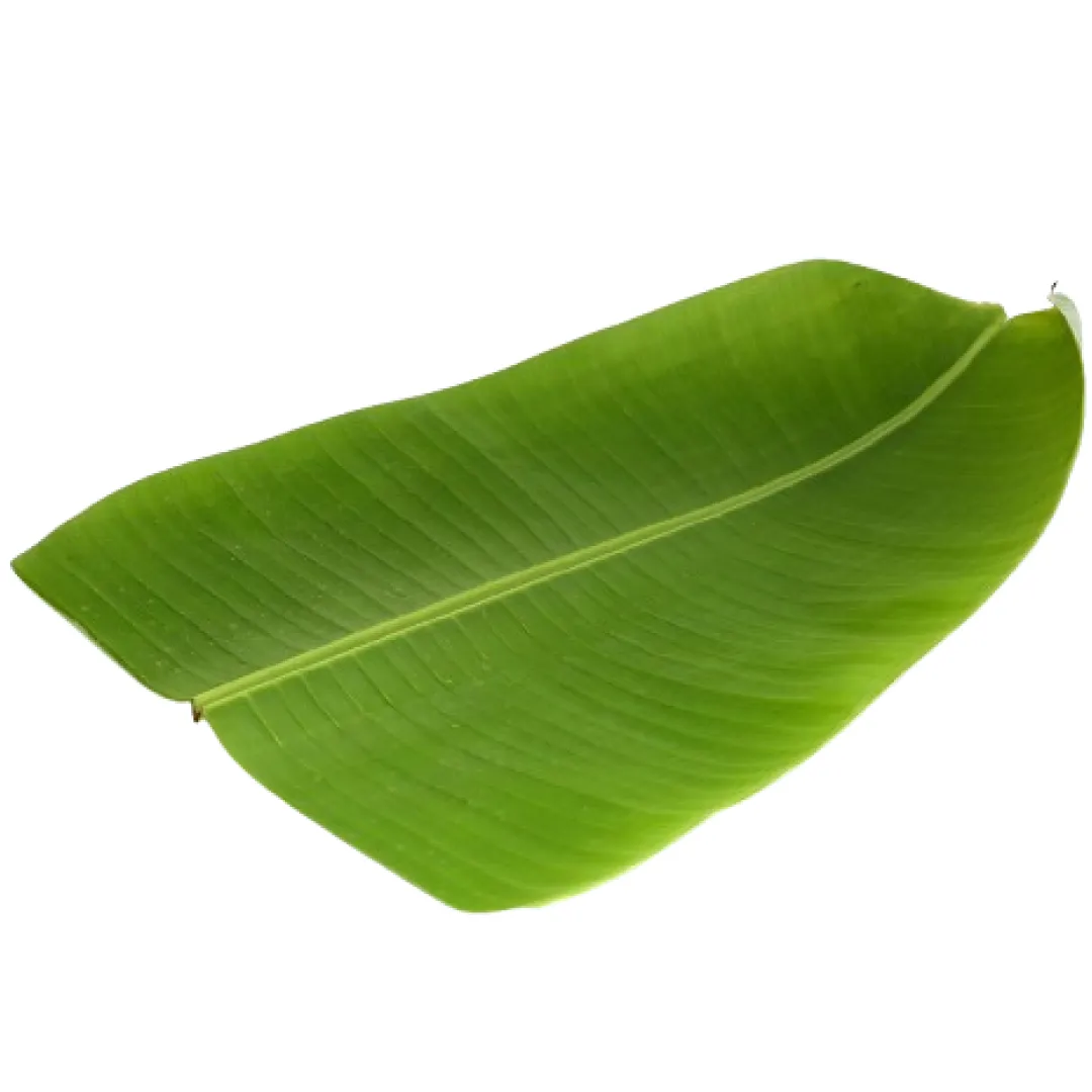 Banana Leaf