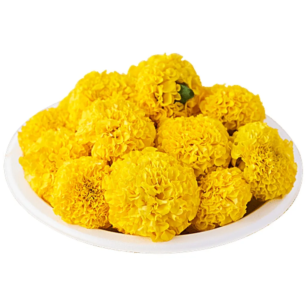 Marigold Yellow