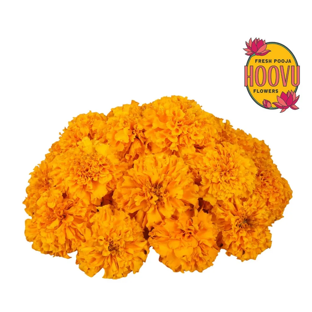 Marigold Orange