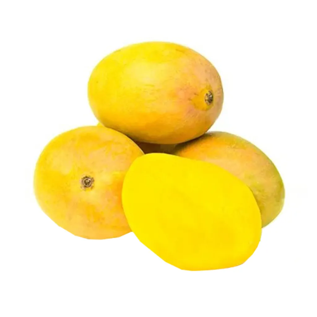 Ratnagiri Alphonso Mango 1