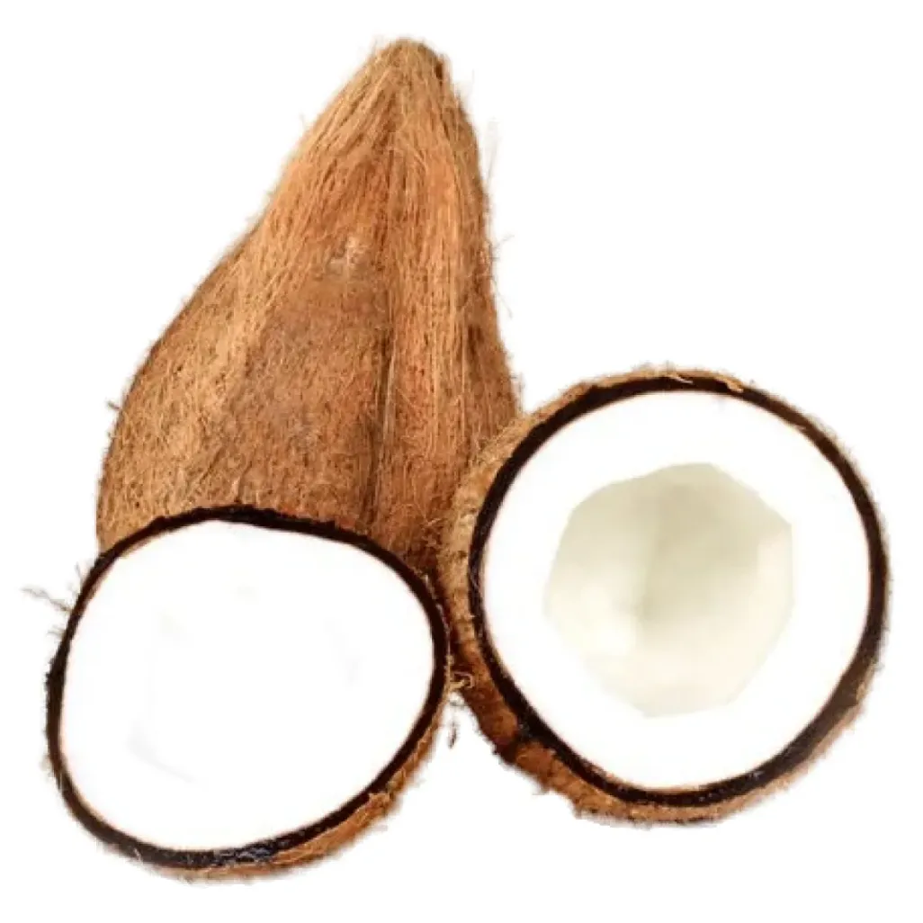 Coconut