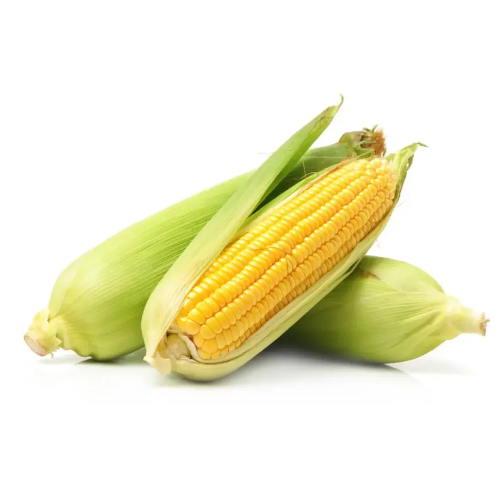Sweet Corn