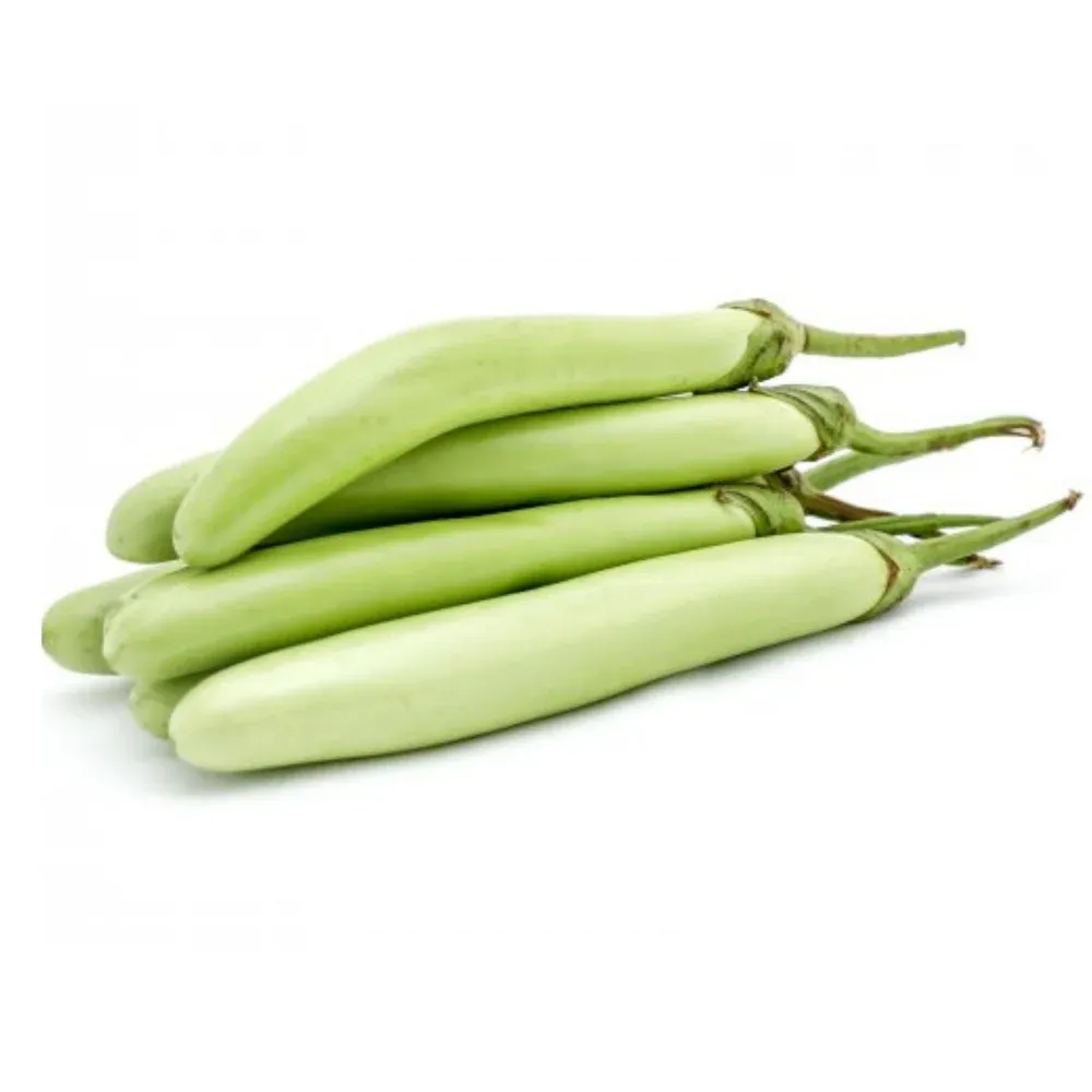 Brinjal Green Long