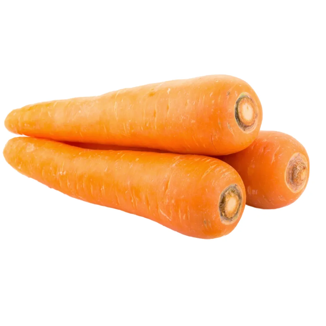 Carrot Ooty
