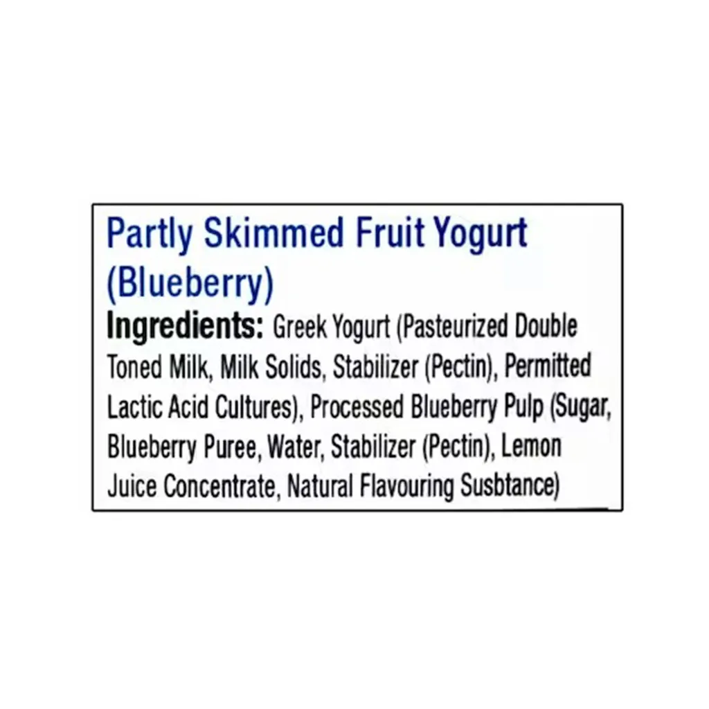 Epigamia Blueberry Greek Yogurt 2