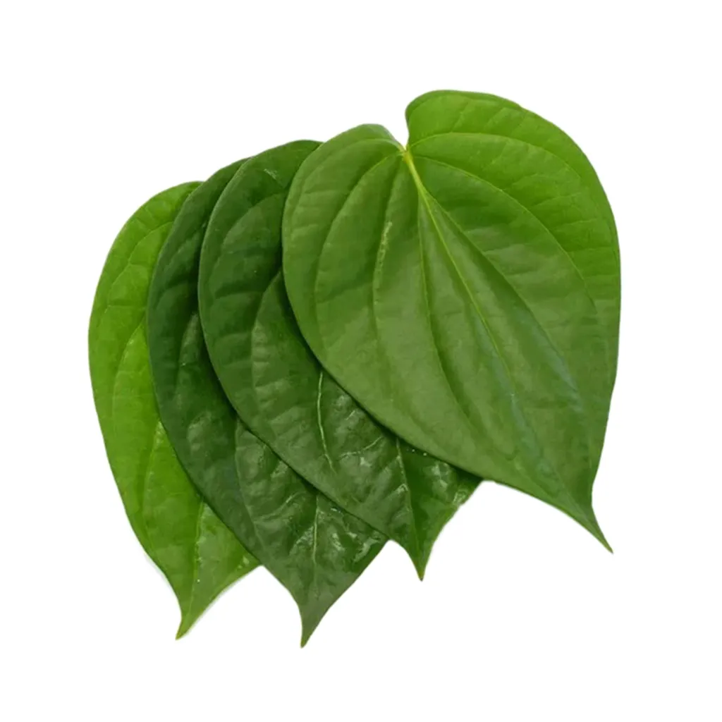 Betel Leaf