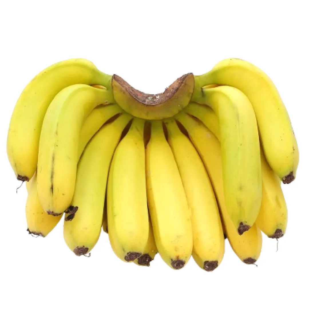 Banana Robusta