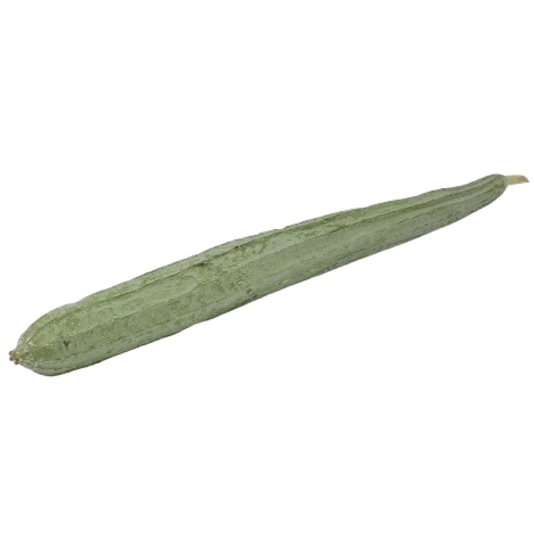 Ridge Gourd