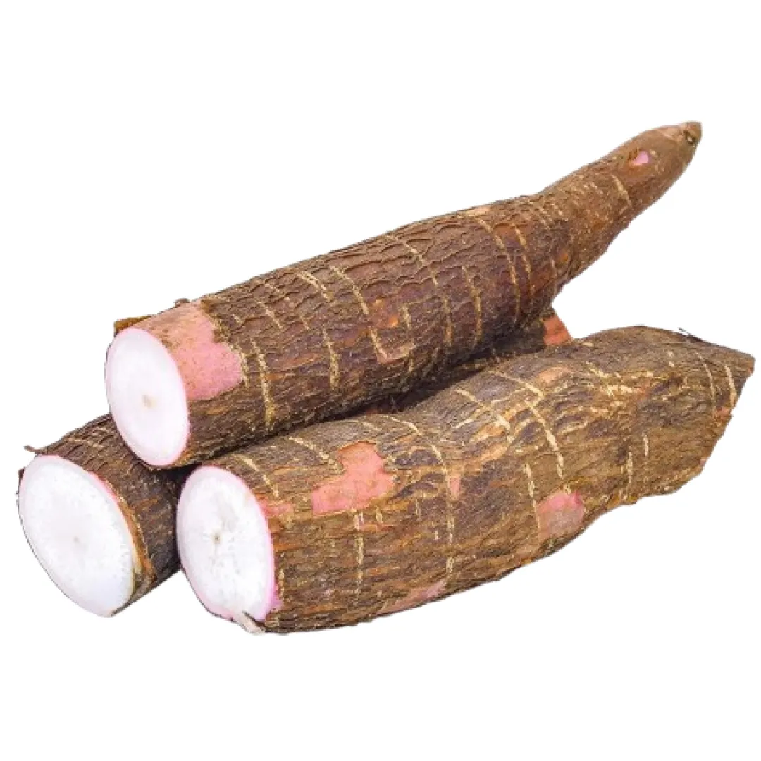 Fresh Tapioca