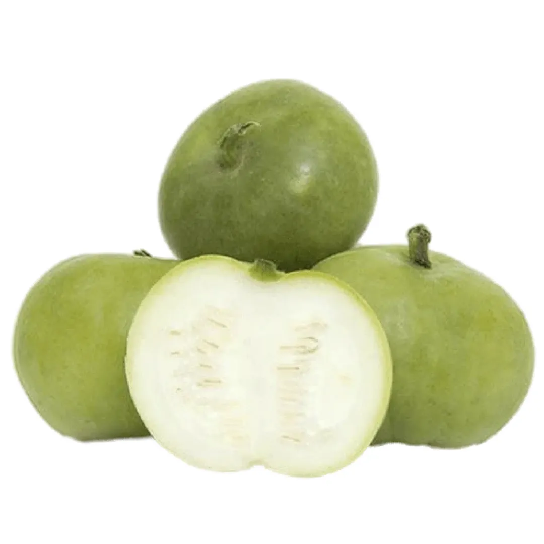 Apple Gourd