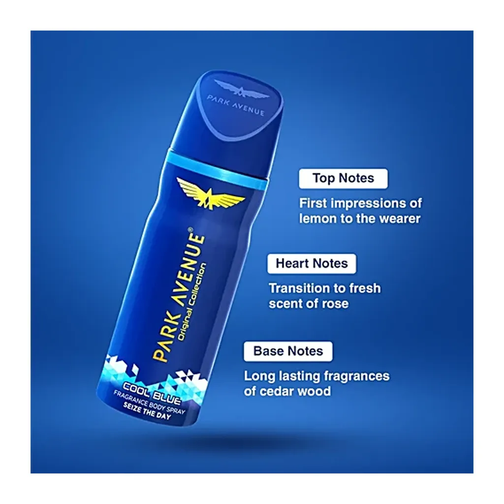 Park Avenue Cool Blue Fragrance Body Spray 2
