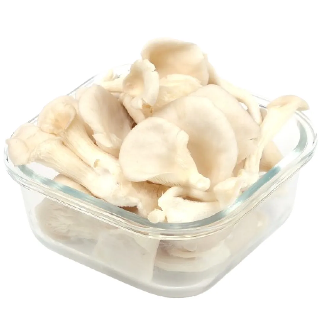 Oyster Mushroom