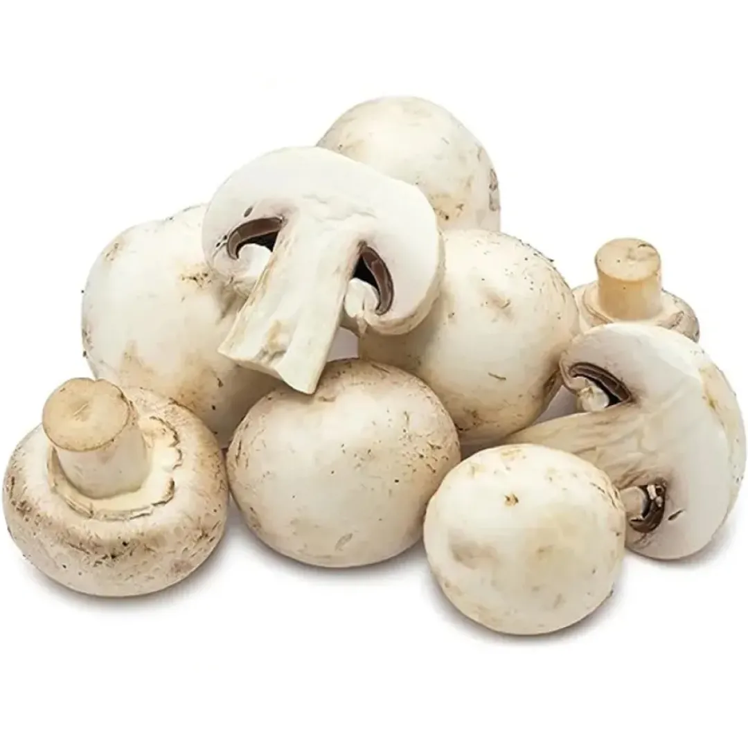 Button Mushroom