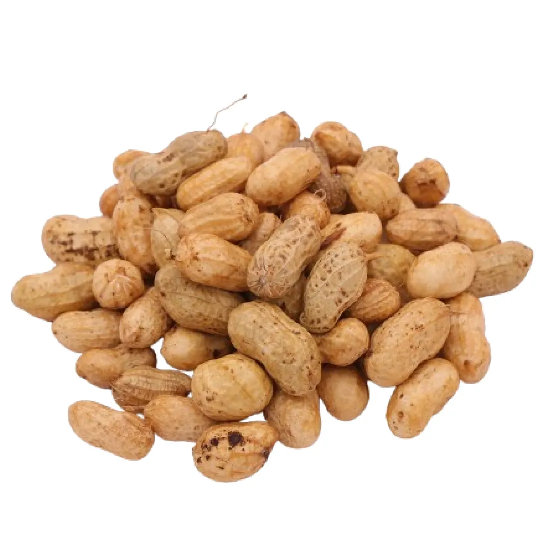 Fresh Groundnut