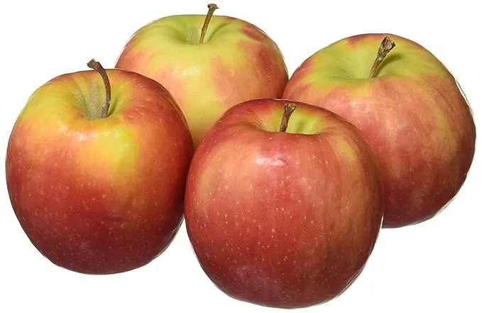 Apple Washington (Pack of 4)