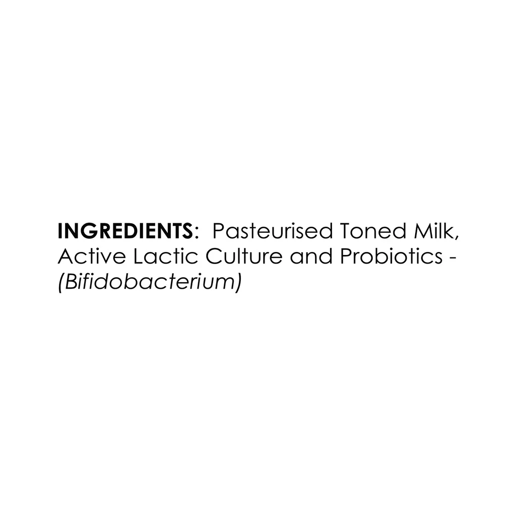 Milky Mist Probiotic Curd 2
