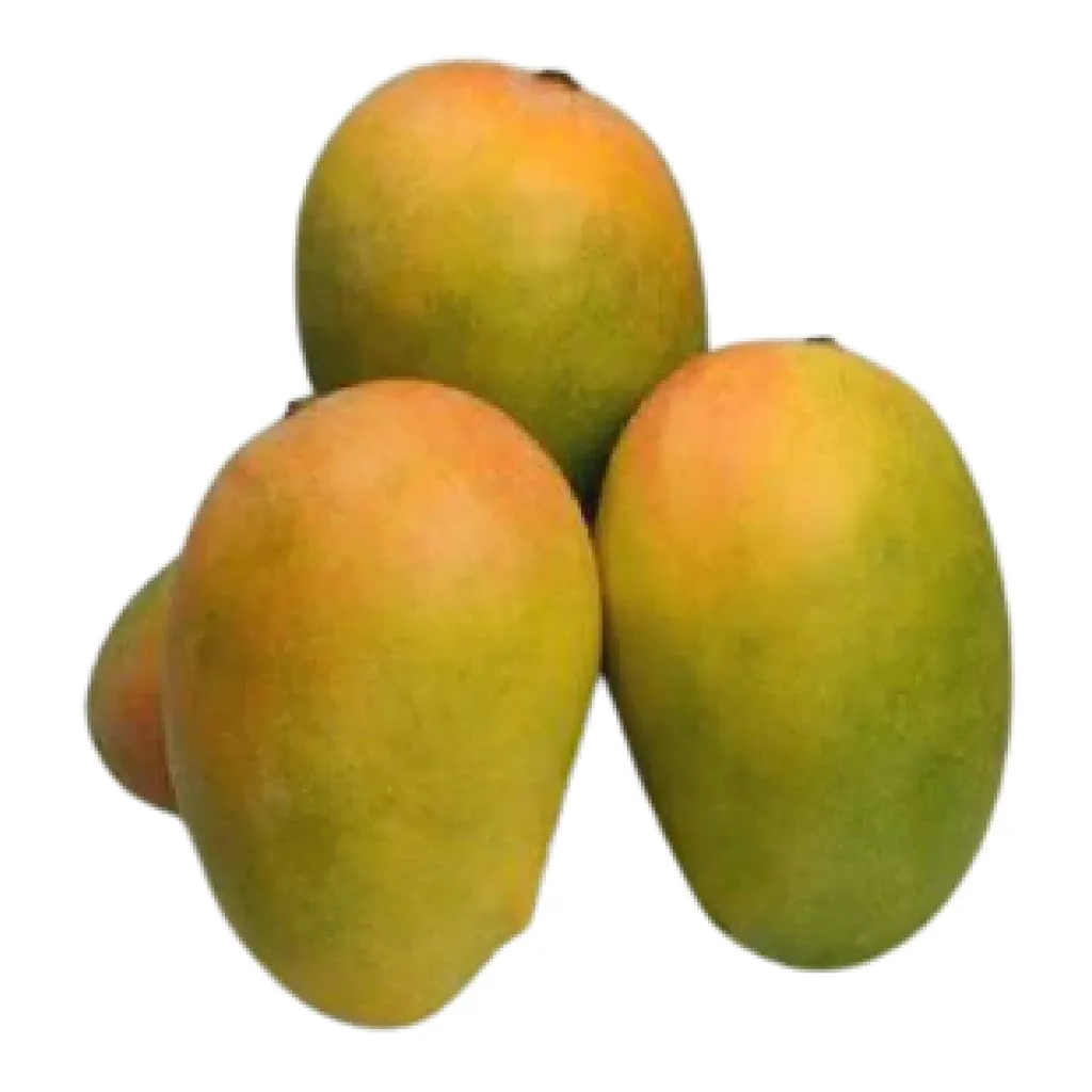 Kesar Mango