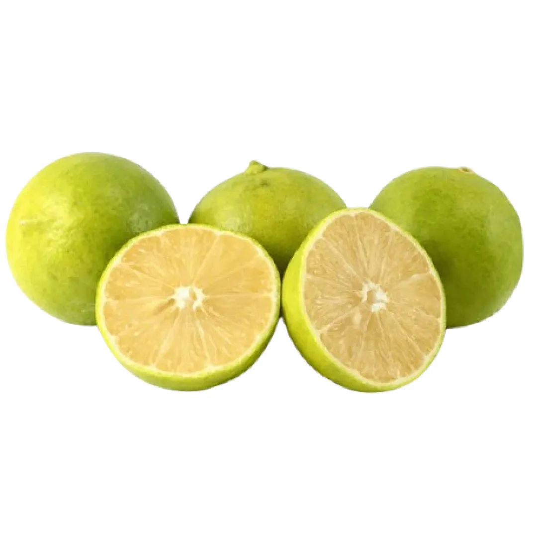 Sweet Lime Economy - Pack Of 7