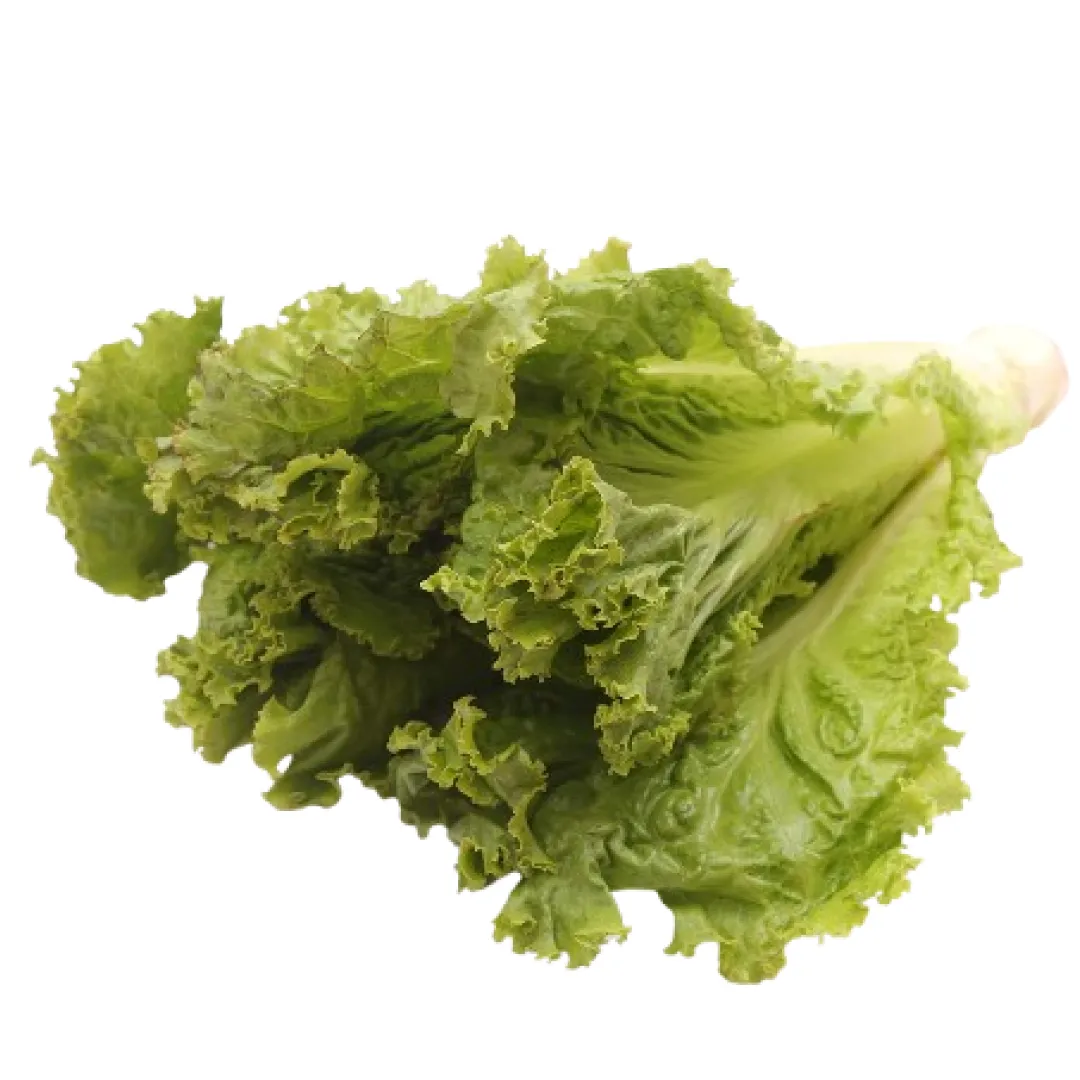 Lettuce Green
